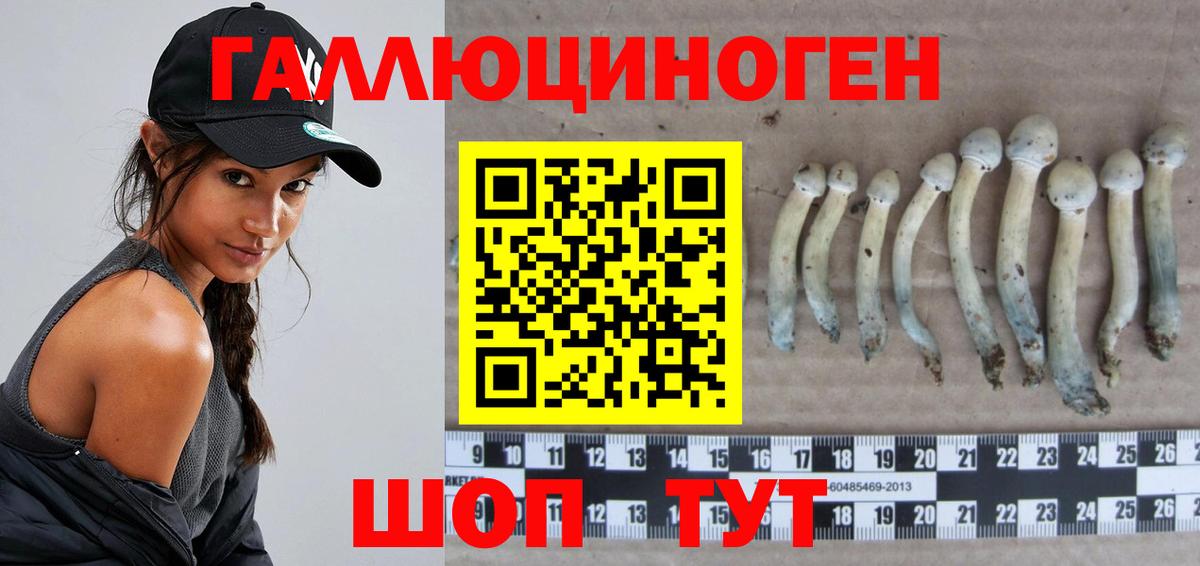 Псилоцибиновые грибы мухоморы Щёлково