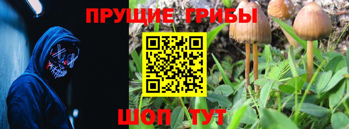 Галлюциногенные грибы Cubensis  Вход с VPN  Галлюциногенные грибы мицелий  Щёлково 