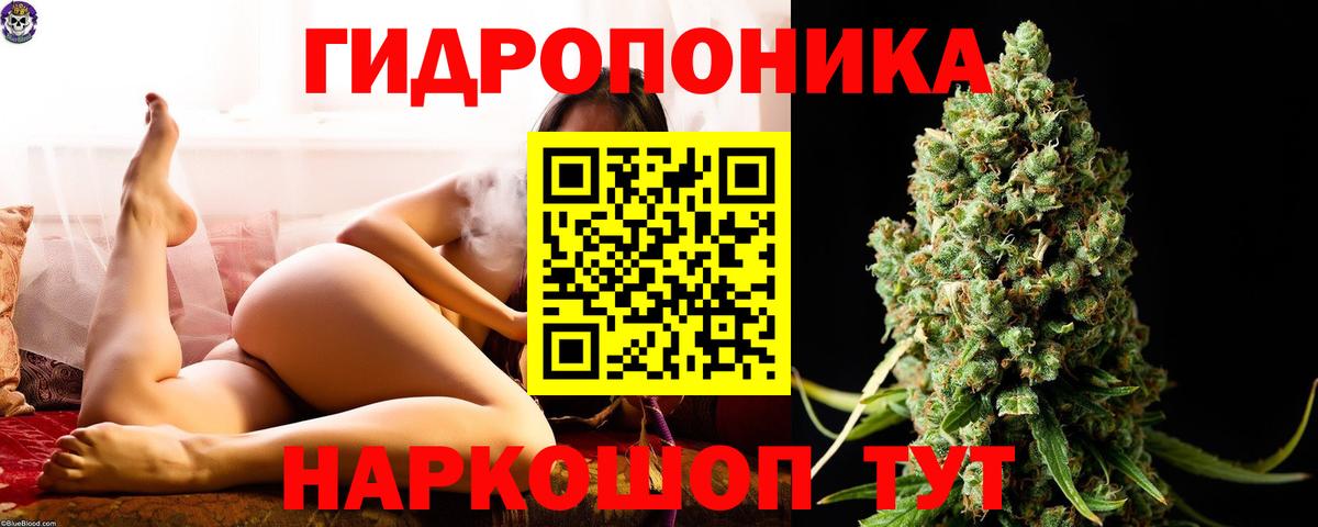 Шишки марихуана THC 21% Щёлково
